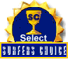 Surf Award